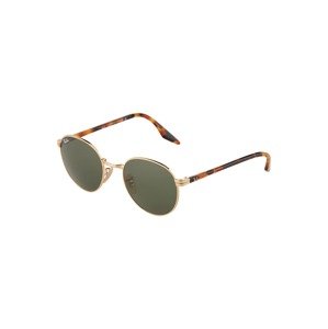 Ray-Ban Slnečné okuliare '0RB3691'  hnedá / gaštanová / zlatá / tmavozelená