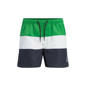 JACK & JONES Plavecké šortky 'CRETE'  modrá / zelená / biela