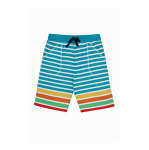 Frugi Nohavice 'Aiden Striped'  modrá / zmiešané farby