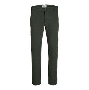 JACK & JONES Chino nohavice 'Macro Fred'  jedľová