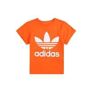 ADIDAS ORIGINALS Tričko  tmavooranžová / biela