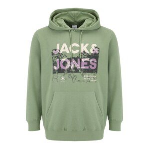 Jack & Jones Plus Mikina  zelená / biela / fialová / čierna