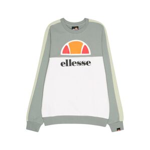 ELLESSE Mikina 'INVERNO'  pastelovo zelená / biela / čierna / dymovo šedá