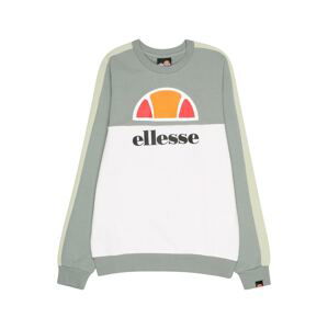 ELLESSE Mikina 'INVERNO'  dymovo šedá / pastelovo zelená / čierna / biela