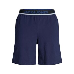 JACK & JONES Nohavice  modrá / sivá / čierna