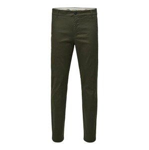 SELECTED HOMME Chino nohavice 'Buckley'  jedľová