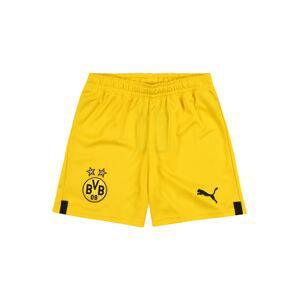 PUMA Športové nohavice 'Borussia Dortmund 22/23'  žltá / čierna