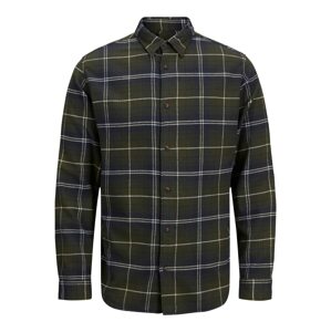 Jack & Jones Plus Košeľa  zelená / biela / tmavomodrá