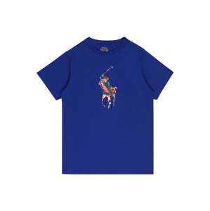 Polo Ralph Lauren Tričko  modrá / zelená / červená / biela