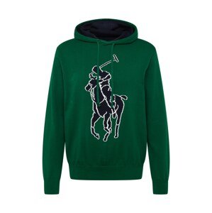 Polo Ralph Lauren Sveter  tmavomodrá / zelená / biela