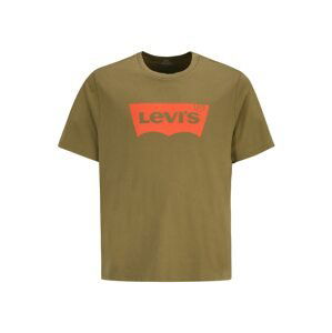 Levi's® Big & Tall Tričko 'B&T BIG GRAPHIC TEE GREENS'  olivová / tmavooranžová