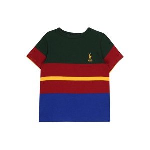 Polo Ralph Lauren Tričko  zelená / karmínovo červená / zlatá žltá / modrá melírovaná