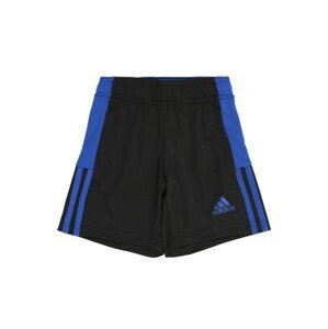 ADIDAS PERFORMANCE Športové nohavice 'TIRO'  čierna / modrá