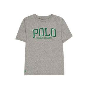 Polo Ralph Lauren Tričko  sivá / smaragdová / biela