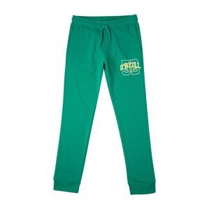 O'NEILL Športové nohavice  trávovo zelená / biela / žltá