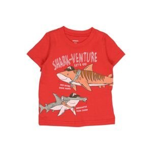 Carter's Tričko 'SHARKVENTURE'  sivá / lososová / červená / biela