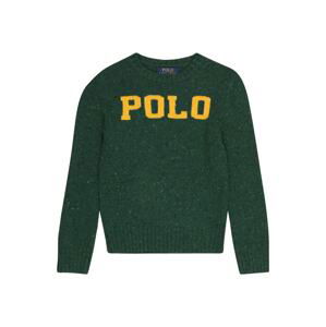 Polo Ralph Lauren Sveter  tmavožltá / tmavozelená