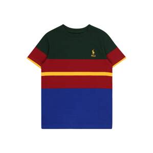 Polo Ralph Lauren Tričko  zelená / žltá / červená / modrá