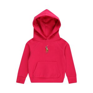 Polo Ralph Lauren Mikina  svetlohnedá / tmavohnedá / pitaya / biela