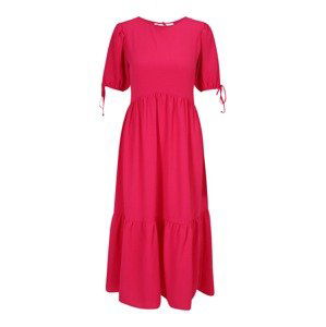 Dorothy Perkins Tall Šaty  fuksia