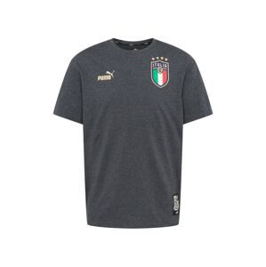 PUMA Dres 'FIGC'  tmavosivá / biela / béžová / zelená