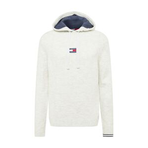 Tommy Jeans Sveter  námornícka modrá / svetlosivá / červená / biela