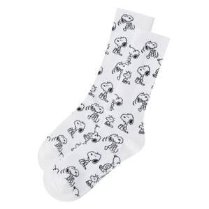 Pull&Bear Ponožky  biela / čierna
