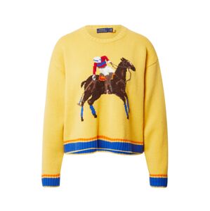 Polo Ralph Lauren Sveter  modrá / hnedá / žltá / červená