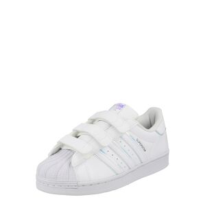 ADIDAS ORIGINALS Tenisky 'Superstar'  vodová / tmavomodrá / staroružová / biela