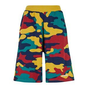 Dangerous DNGRS Shorts HideMe camo - L