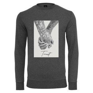 Mr. Tee Trust 2.0 Crewneck charcoal - S