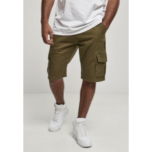 Southpole Cargo Shorts olive - 30