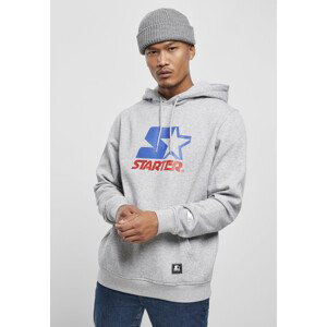 Starter Two Color Logo Hoody h.grey - L